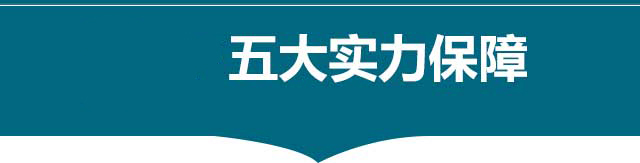 五大实力保障